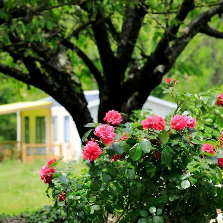 Medrose Camping Camping Saint-Thomé